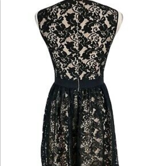 London Style Black Lace Fit & Flare Dress - Picture 7 of 8